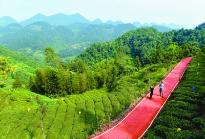 綠色是理念，更是行動(dòng)