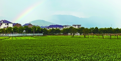 綠色是理念，更是行動(dòng)