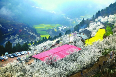 綠色是理念，更是行動(dòng)
