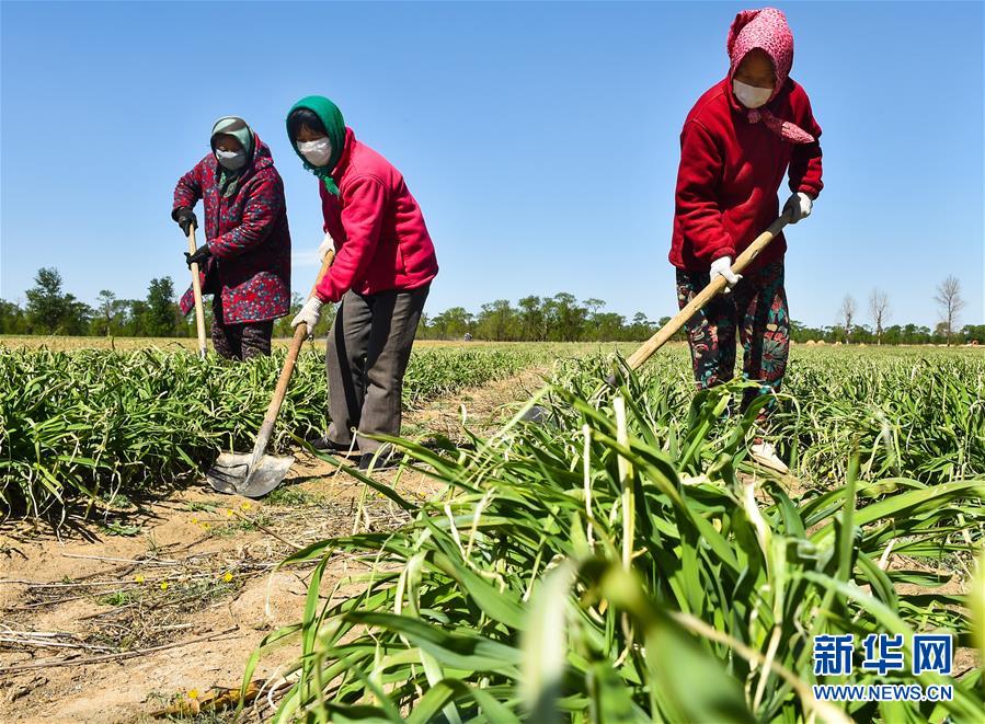 （新華全媒頭條·圖文互動(dòng)）（17）從人民中汲取磅礴力量——習(xí)近平總書(shū)記同出席2020年全國(guó)兩會(huì)人大代表、政協(xié)委員共商國(guó)是紀(jì)實(shí)