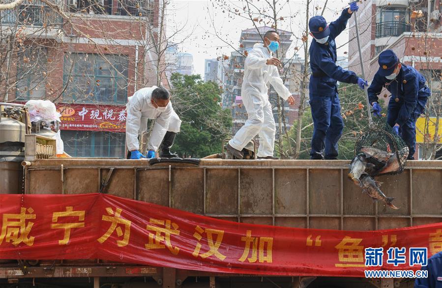 （新華全媒頭條·圖文互動(dòng)）（12）從人民中汲取磅礴力量——習(xí)近平總書(shū)記同出席2020年全國(guó)兩會(huì)人大代表、政協(xié)委員共商國(guó)是紀(jì)實(shí)