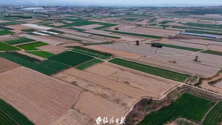 翼城農(nóng)業(yè)，解鎖豐收 “新密碼”！