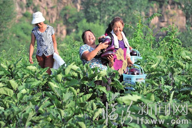 收入增加了，農(nóng)民臉上露出了笑容。 