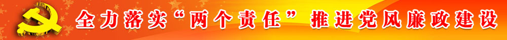 全力落實兩個責(zé)任推進黨風(fēng)廉政建設(shè)