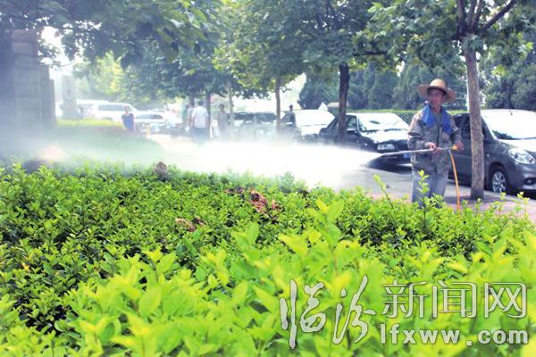 臨汾市城市綠化大隊(duì)對(duì)市區(qū)道路兩旁綠化帶、隔離帶噴灑殺蟲藥水