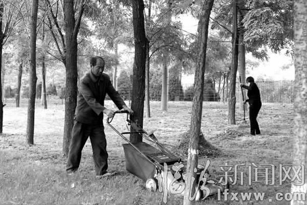 臨汾市園林工人清除市區(qū)濱河公園內(nèi)綠化帶里的雜草