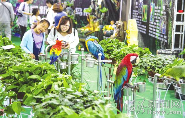 臨汾:與鳥兒親密接觸 感受自然和諧